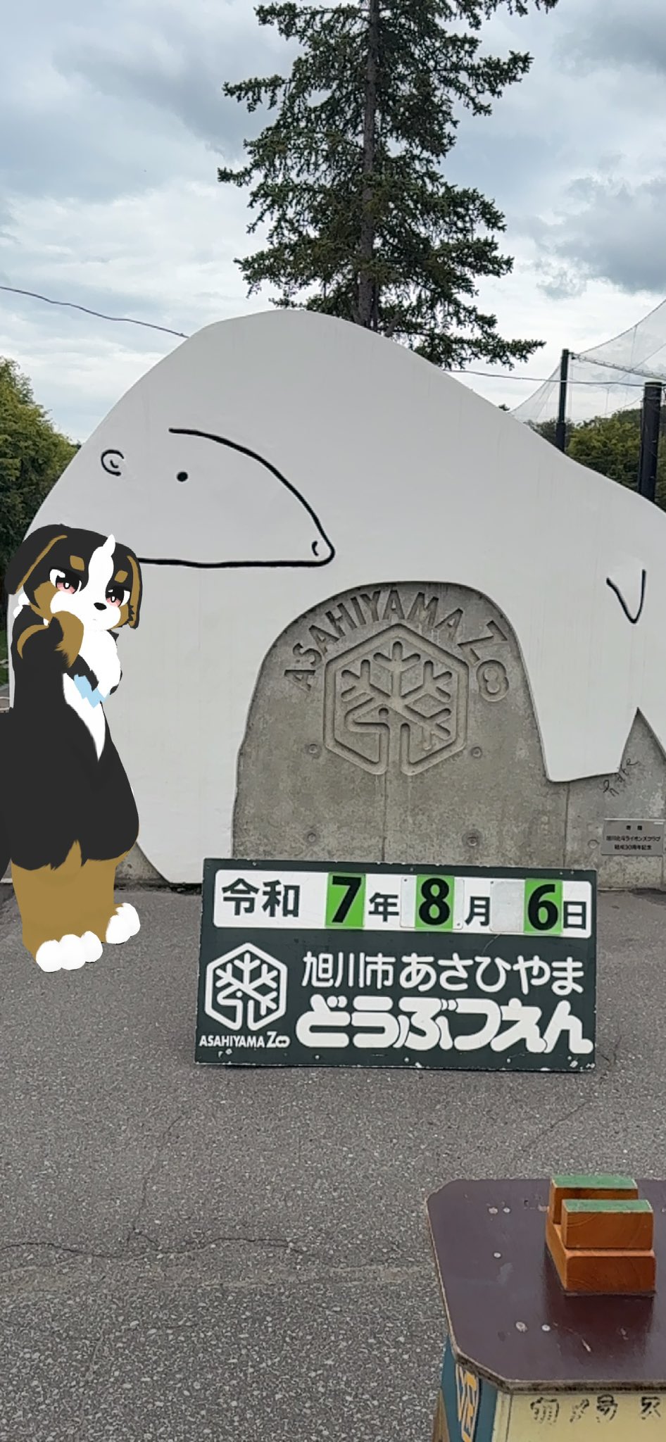 t*7様 新作　旭山動物園-寒風山展望台2種-和歌山電鉄4種コンプ＋ゴタマ記念メ t*7様 新作 旭山動物園-寒風山展望台2種-和歌山電鉄4種コンプ＋