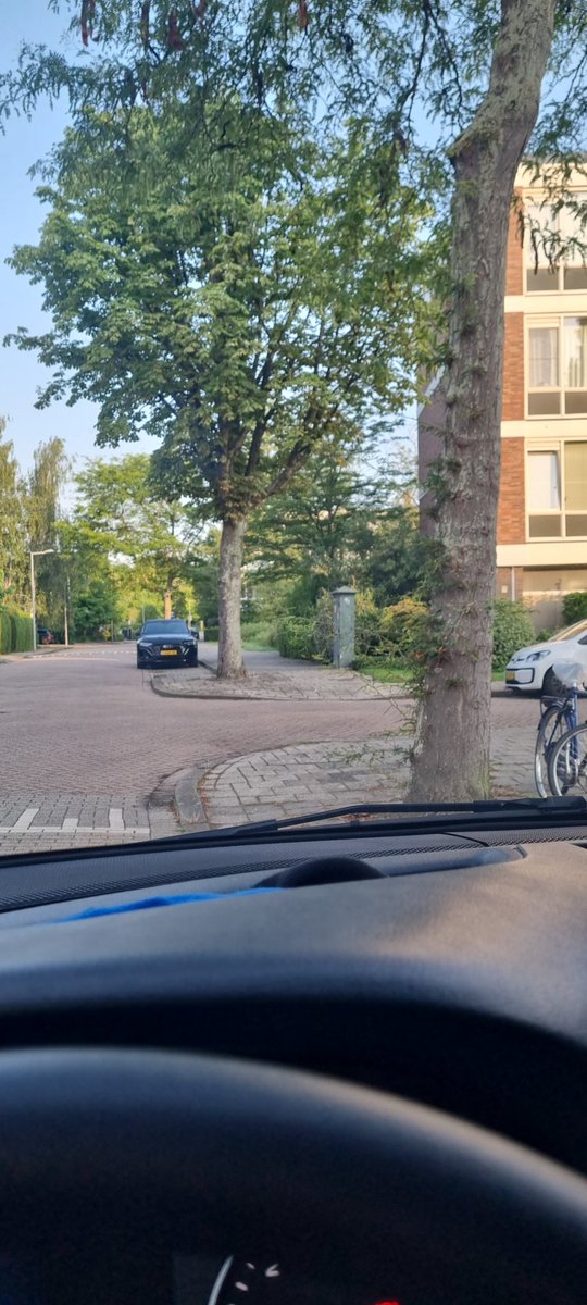 vester71 tweet media