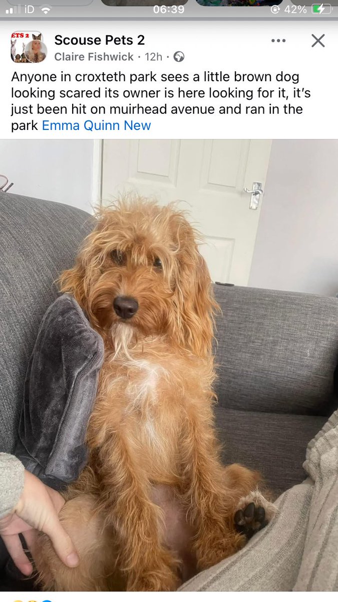 Please share - missing 

facebook.com/share/p/19Nn4U…