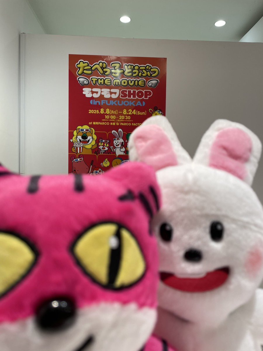 たべっ子どうぶつ THE MOVIE モフモフSHOP うさぎ たべっ子どうぶつ THE MOVIE モフモフSHOP (@tabekko_movie_p) / X