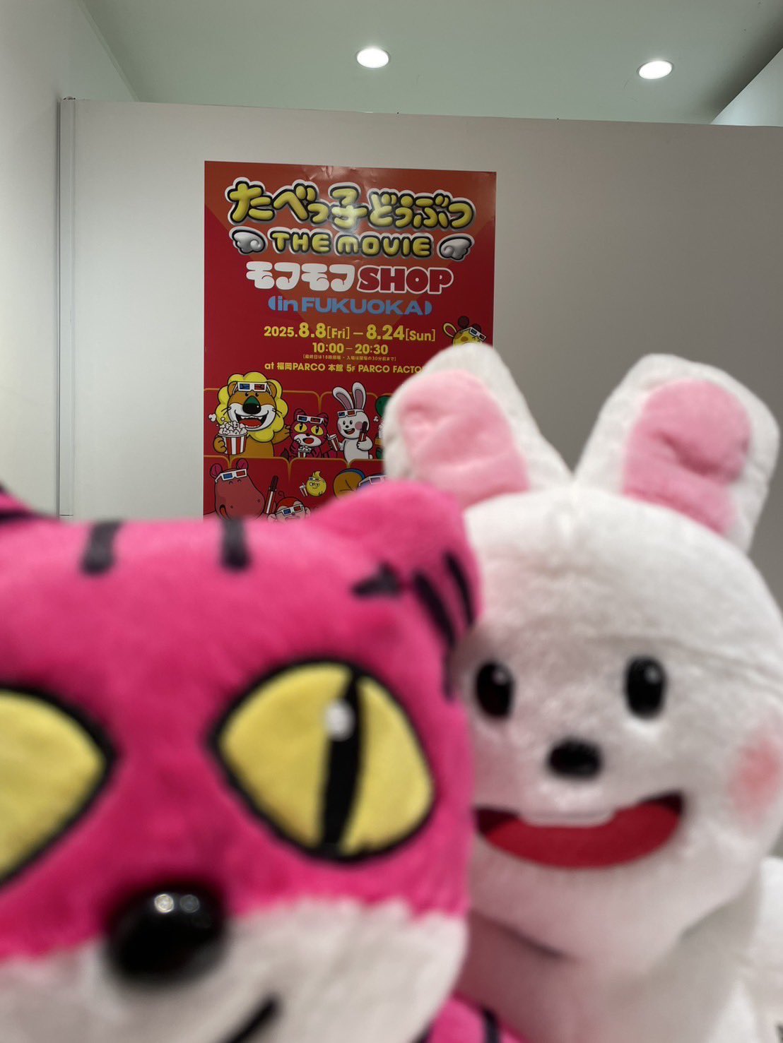 たべっ子どうぶつ THE MOVIE モフモフSHOP うさぎ たべっ子どうぶつ THE MOVIE モフモフSHOP (@tabekko_movie_p) / X