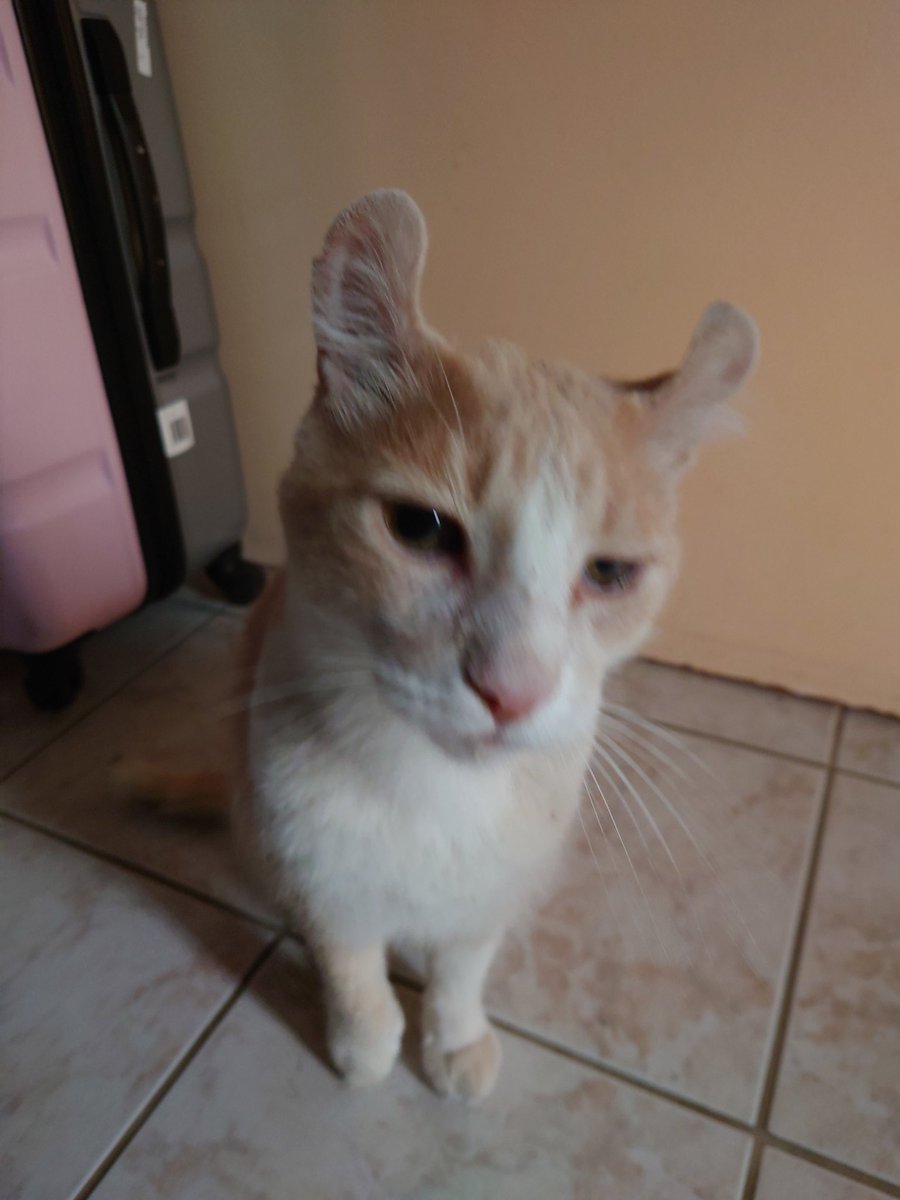 Oui c'est pourquoi ?
Bon credi à tous !