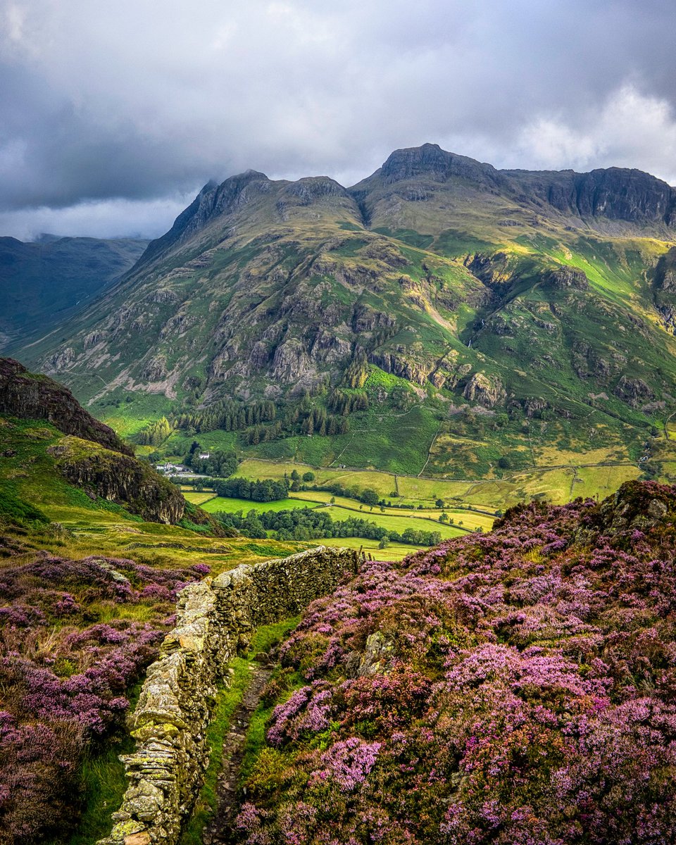 Morning everyone I hope you are well. Not quite the light I had hoped for, but still a beautiful view towards the Langdales. Have a great day.

#LakeDistrict