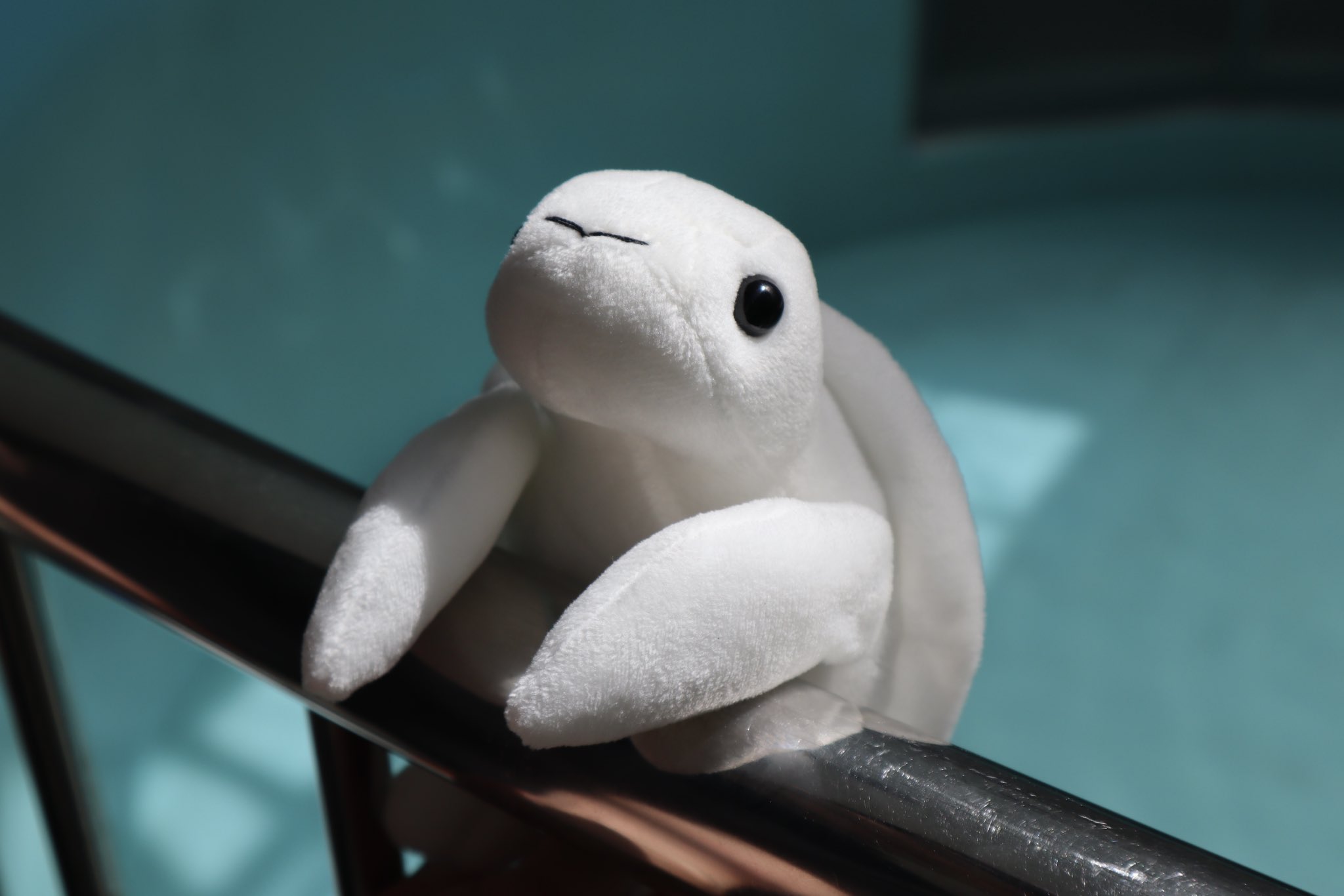[確認用￼]斎藤さんだぞ❣️謎のアニメのメッシュの鶏冠(トサカ)の男性キャラクター ω・)ﾁﾗｯ