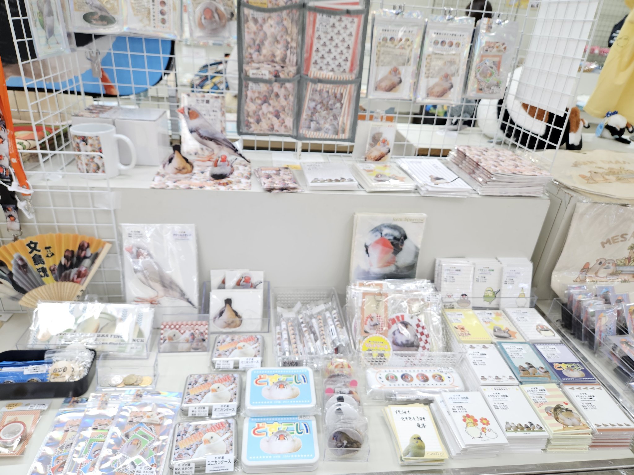 月刊カーニバル NO.1〜NO.6 月刊ゴングVol.13 No.6 – 闘道館