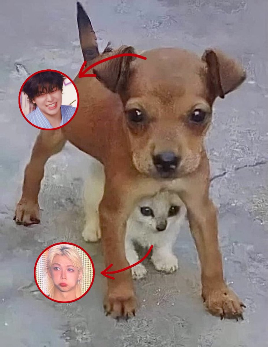 things that could be seunglix (@seunglixxing) on Twitter photo 