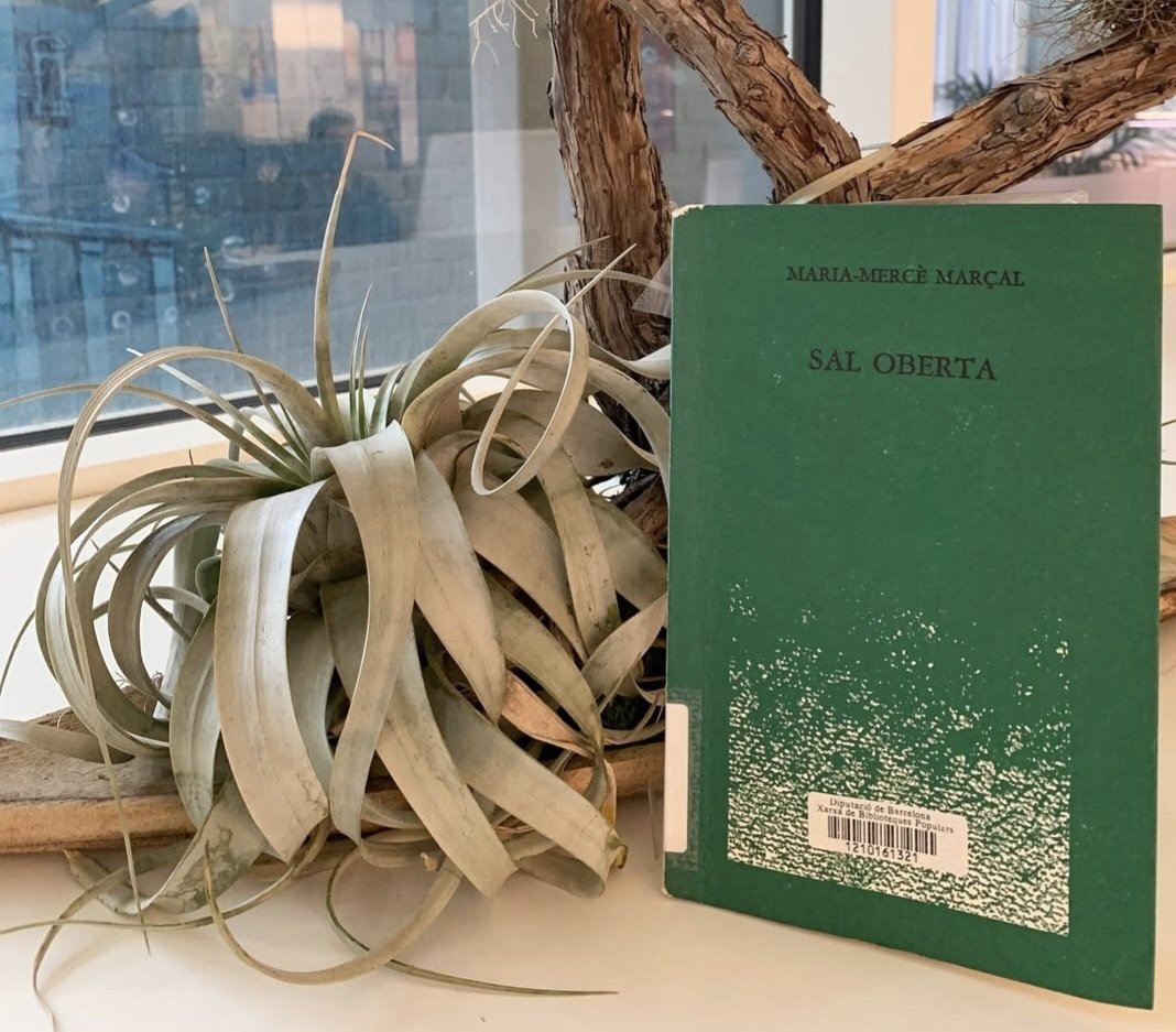 Biblioteca Pilarin Bayés de Vic (@bibliotecavicpb) on Twitter photo Aquest mes d'agost us recomanem el poemari "Sal oberta" de Maria-Mercè Marçal. El trobareu al vestíbul de la Biblioteca i a les pantalles. <a href="/bibliotequesXBM/">BibliotequesXBM</a> <a href="/vic_cultura/">Vic Cultura</a> <a href="/vic_educacio/">Vic Educació</a> #quefemalesbiblios #magradallegir #poesia #mariamercèmarçal Aquest mes d'agost us recomanem el poemari "Sal oberta" de Maria-Mercè Marçal. El trobareu al vestíbul de la Biblioteca i a les pantalles. <a href="/bibliotequesXBM/">BibliotequesXBM</a> <a href="/vic_cultura/">Vic Cultura</a> <a href="/vic_educacio/">Vic Educació</a> #quefemalesbiblios #magradallegir #poesia #mariamercèmarçal