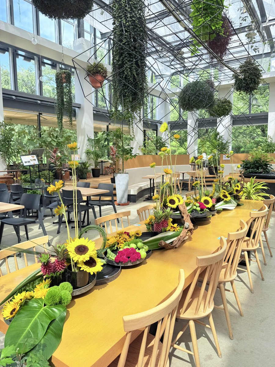 カフェエリアのヒマワリ装飾がパワーアップ🌻 観賞用のパイナップル