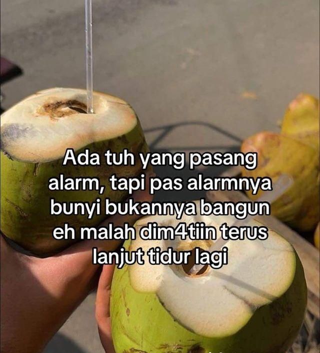 minesuga27's tweet image. ada yang begitu,,, banyakkk