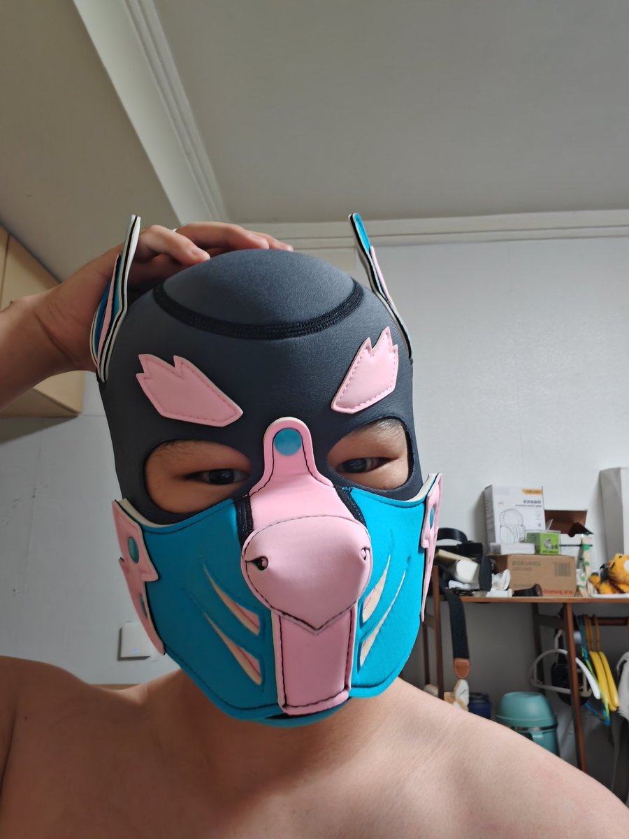 小狗挠头（嗯～🤔是不是又忘记了什么事？）