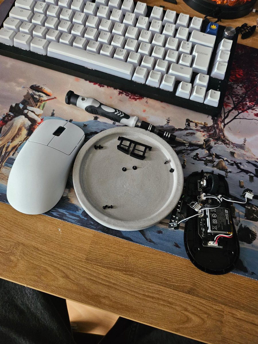 Benny_The_Nerd's tweet photo. Hey, meine Nerds.

Jetzt mal Infos zu meinen Projekt.
Habe mich bei der Modding-Contest für Mäuse von @Caseking beworben &amp; würde angenommen.

Das zweite Bild zeigt mein Design was ich aber null übernehmen kann weil die Maus von @endgamegear so süß klein ist.

(1/2) https://t.co/qrf3I2Y08z