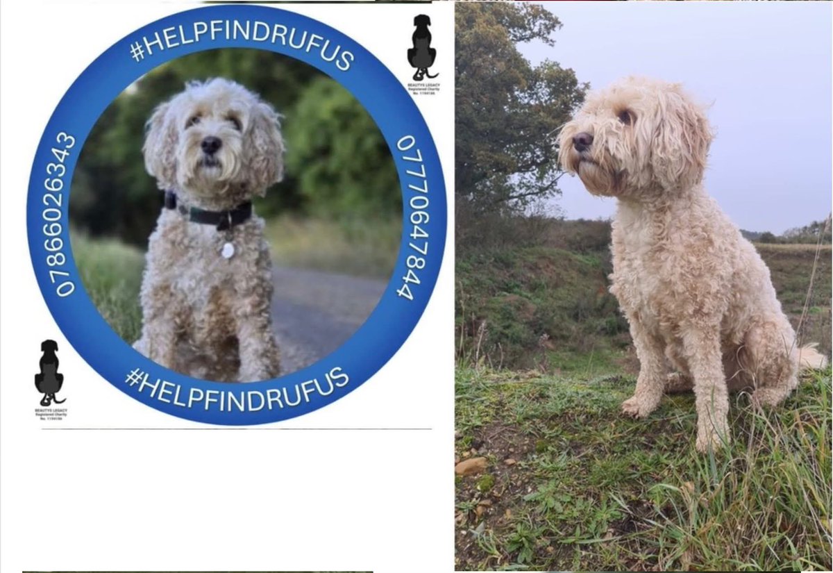 Please, please keep sharing.
A family in our village are devastated 

facebook.com/share/p/16TNre…