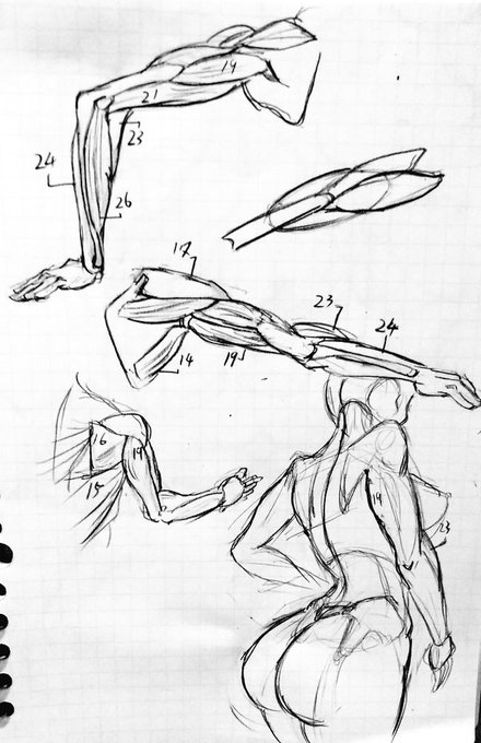 昼間の勉強練習 