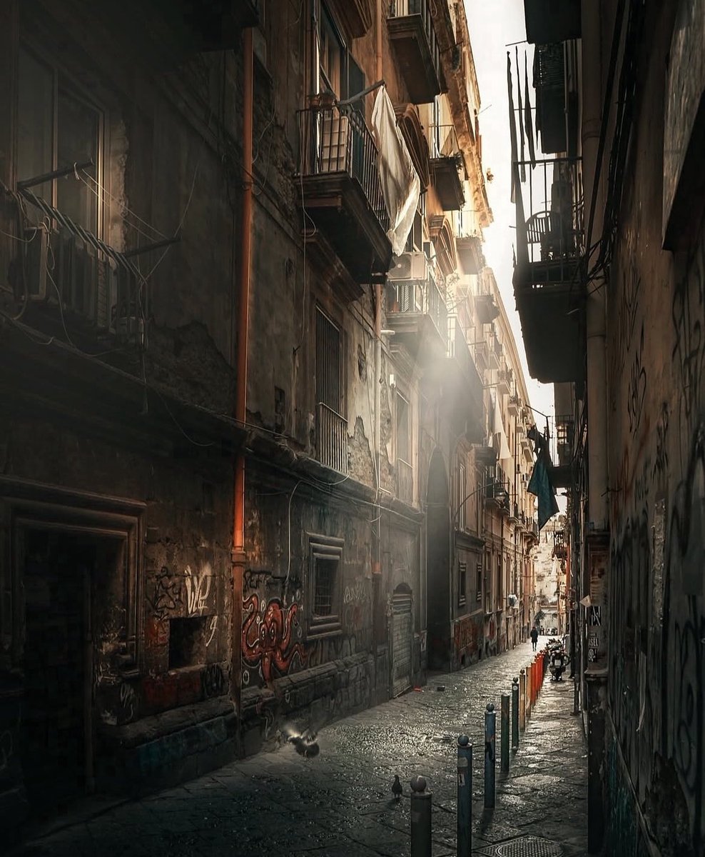 theglobalphotocommunity tweet media