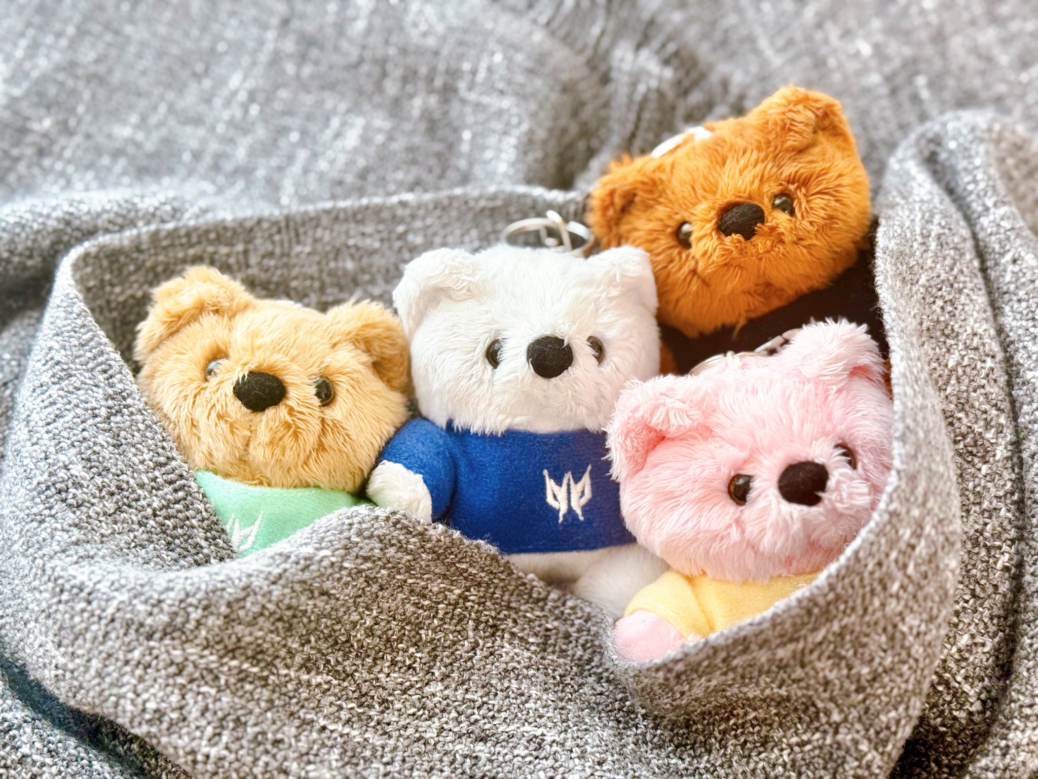 日本エイサー　プレデター　プレベア　ぬいぐるみ　テディベア 日本エイサー プレデター プレベア ぬいぐるみ テディベア