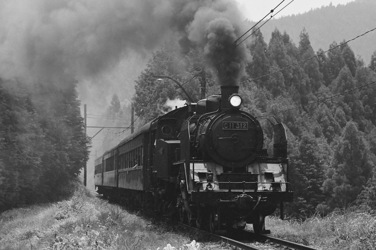 【入手困難・イギリス製のVintage品】英国鉄道　信号灯　BR社　ツインレンズ 幹線観察その2―ブライトン本線