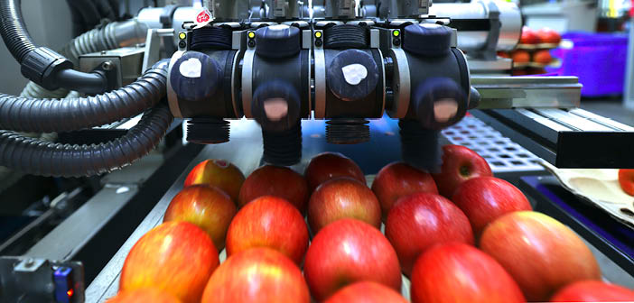 Small stickers, big change: compostable fruit labels driving sustainability

Read more via #HortNews &gt;&gt; hortnews.com/articles/horti…

#compostable #fruitlabels #sustainability