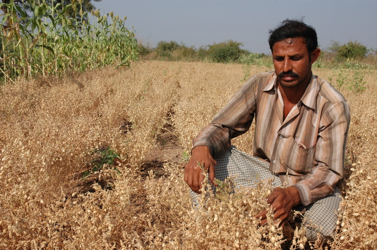 ICRISAT tweet media