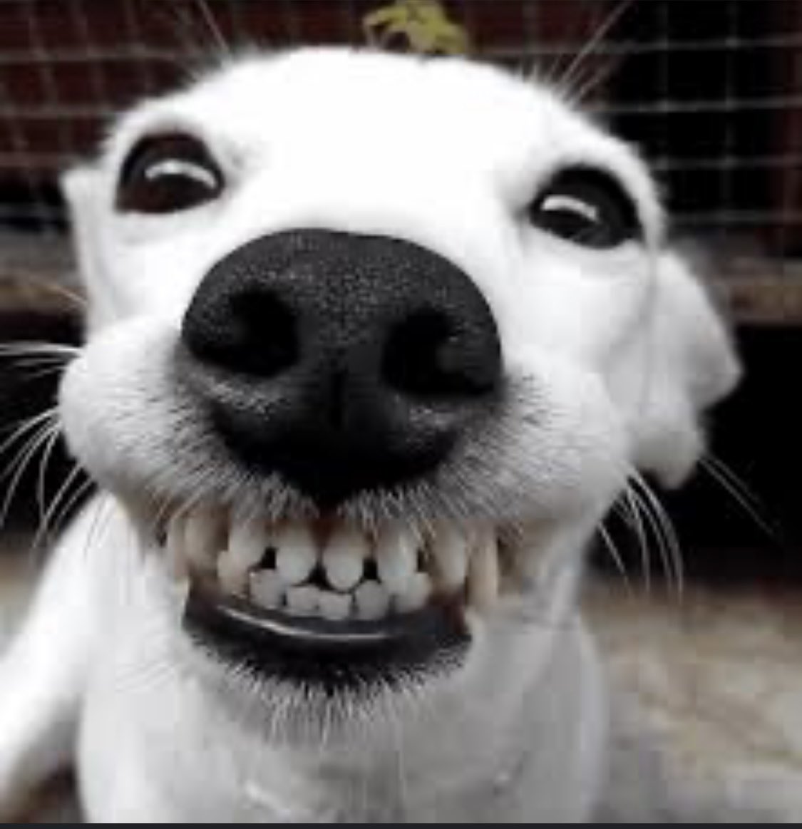 Mood for the day 
Gm Chads 😮‍💨