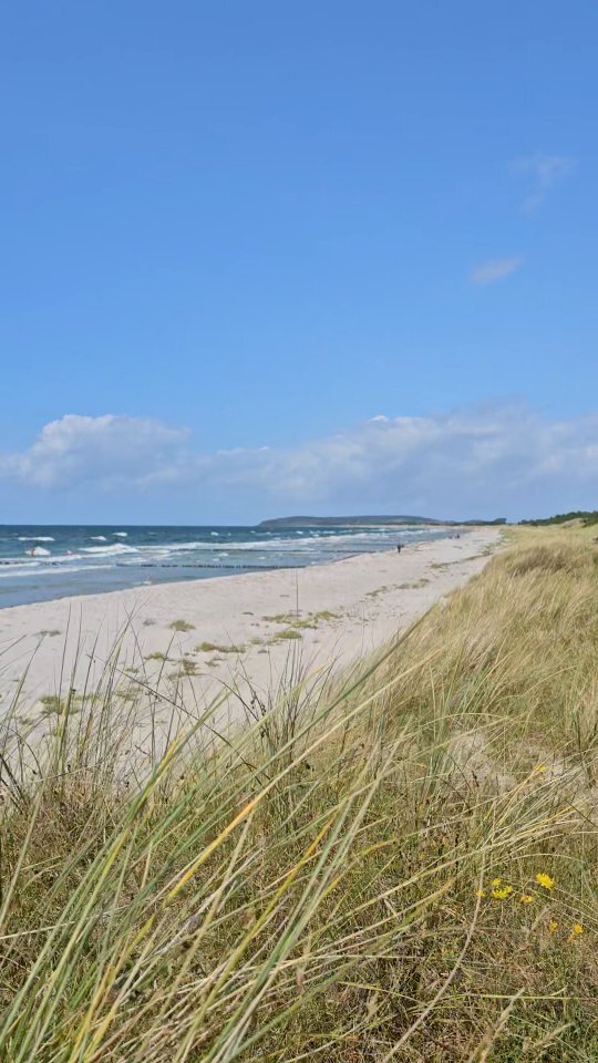 Der Strand hat angerufen und gefragt, wo ihr bleibt!

Wir so: "Wir stehen schon an der Fähre nach Hiddensee!“ 😎⛴️

👉 Was darf bei eurem Strandtag auf gar keinen Fall fehlen? Schreibt es in die Kommentare! ⬇️

Kommentier mit 🏖️, wenn du am liebsten sofo… instagr.am/p/DNALMjBqPFg/