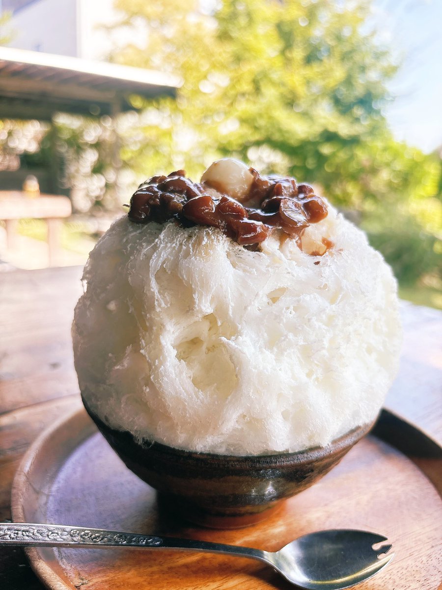 Zephyranthess's tweet image. 夏が来た