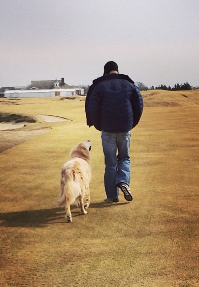 Andrew Rice tweet media