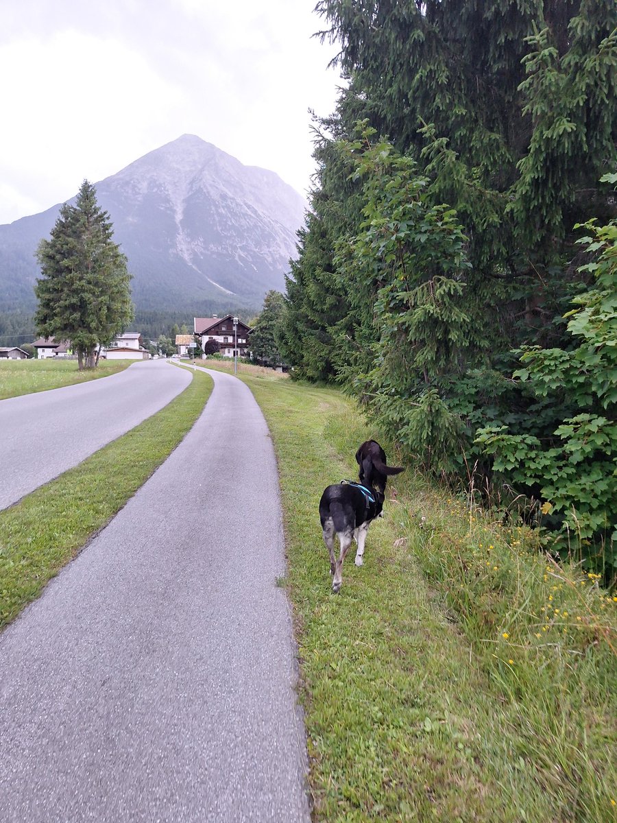 Guten Morgen, ihr Lieben🥰 bin schon wieder total beschäftigt mit Kontrolle😎
