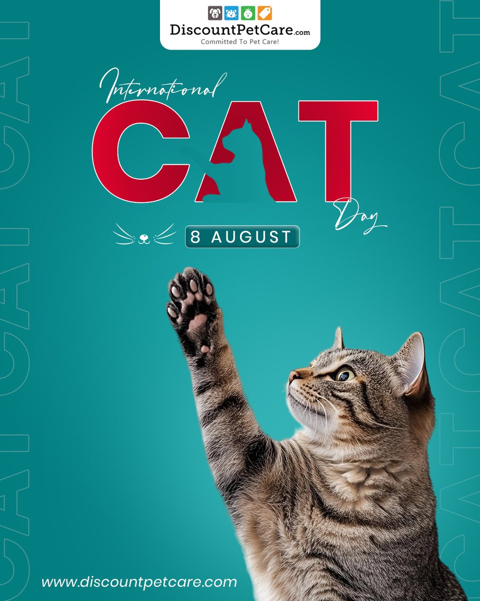 discountpetkare's tweet photo. Cats: 90% attitude, 10% fluff, 100% lovable. πΌ
Happy #InternationalCatDay to our purring overlords .
Post a photo of your cat being iconic ?
#CatsOfTwitter #CatDay #PurrMachine #DiscountPetCare #CatLove #InternationalCatDay #Catlovers https://t.co/EDiI6bR4wd