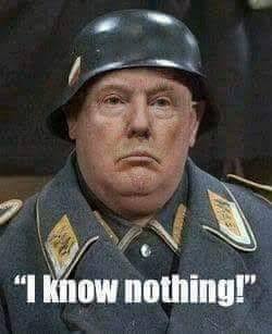 Suddenly, when it comes to one subject,... Ghislaine Maxwell,... 

Trump becomes Sergeant Shultz,...

    "I know nothing. NUTH-ing!"
