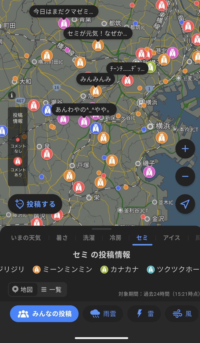 Yahoo!天気の謎機能「セミの投稿情報」、セミが投稿してるっぽく読めるw