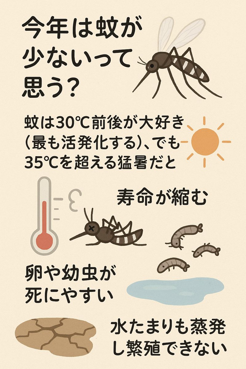 蚊 寿命
