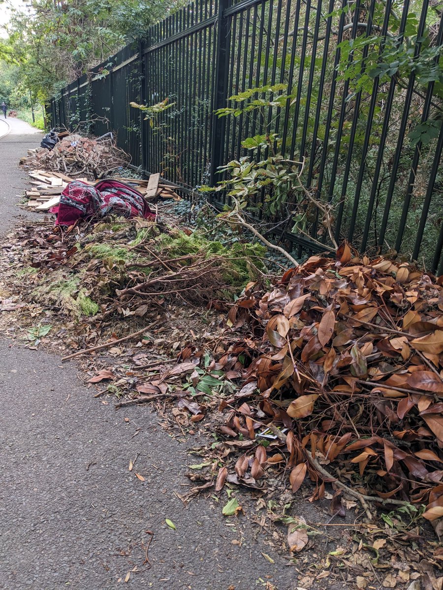Persistent and growing fly tip on Willow Lane access - reported multiple times on <a href="/fixmystreet/">FixMyStreet</a> to <a href="/Merton_Council/">Merton Council</a> but still no action despite much heralded CCTV after last major incident