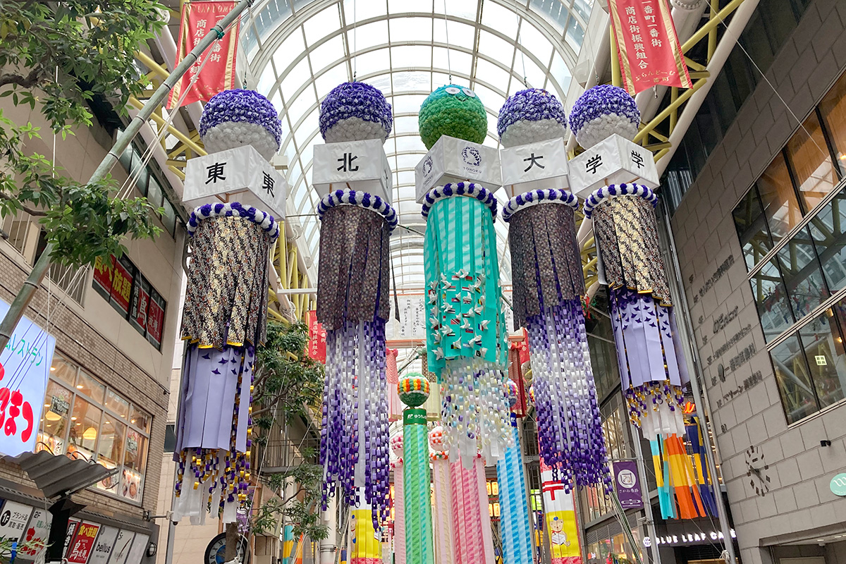 Tohoku University tweet media