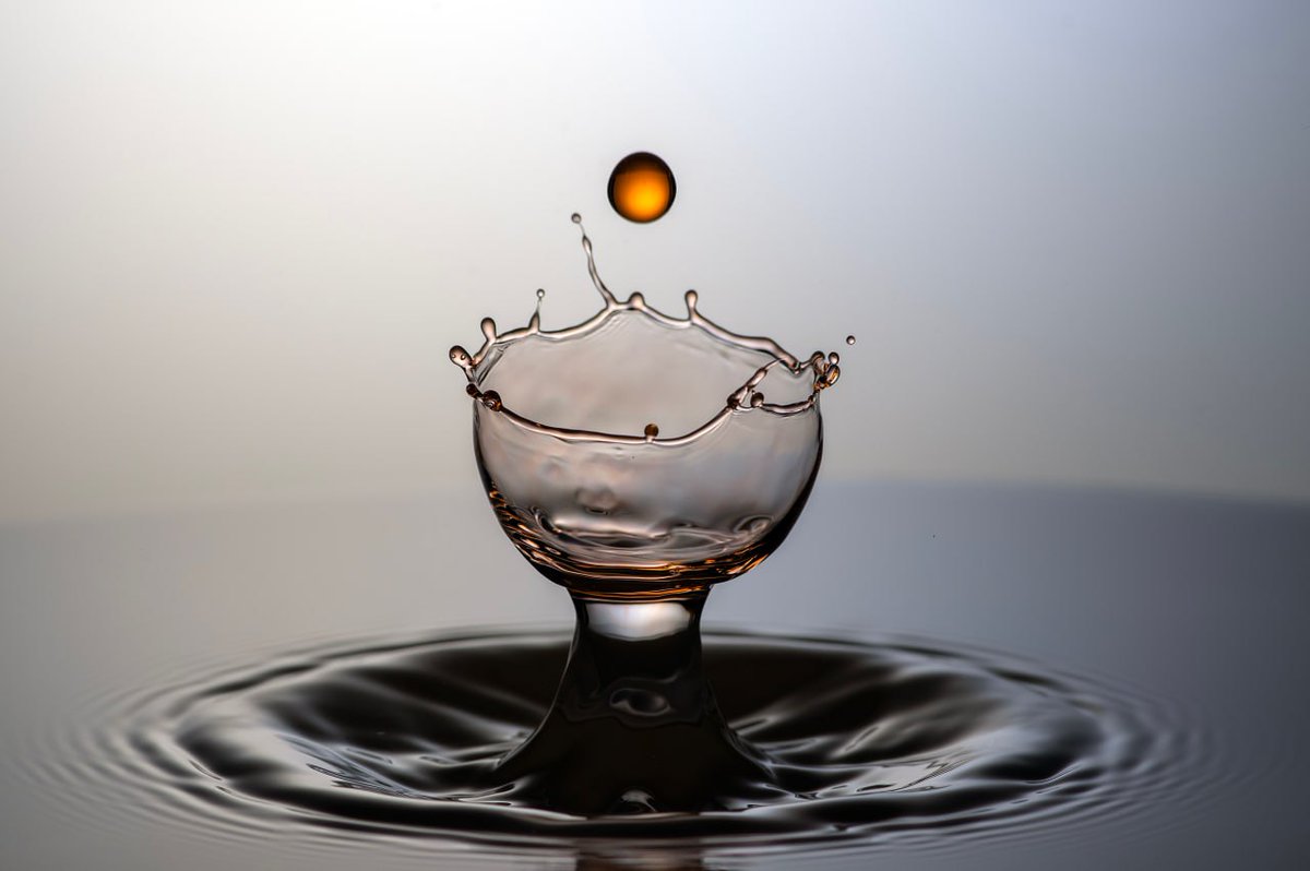 Good morning, world.
Crownlight #3