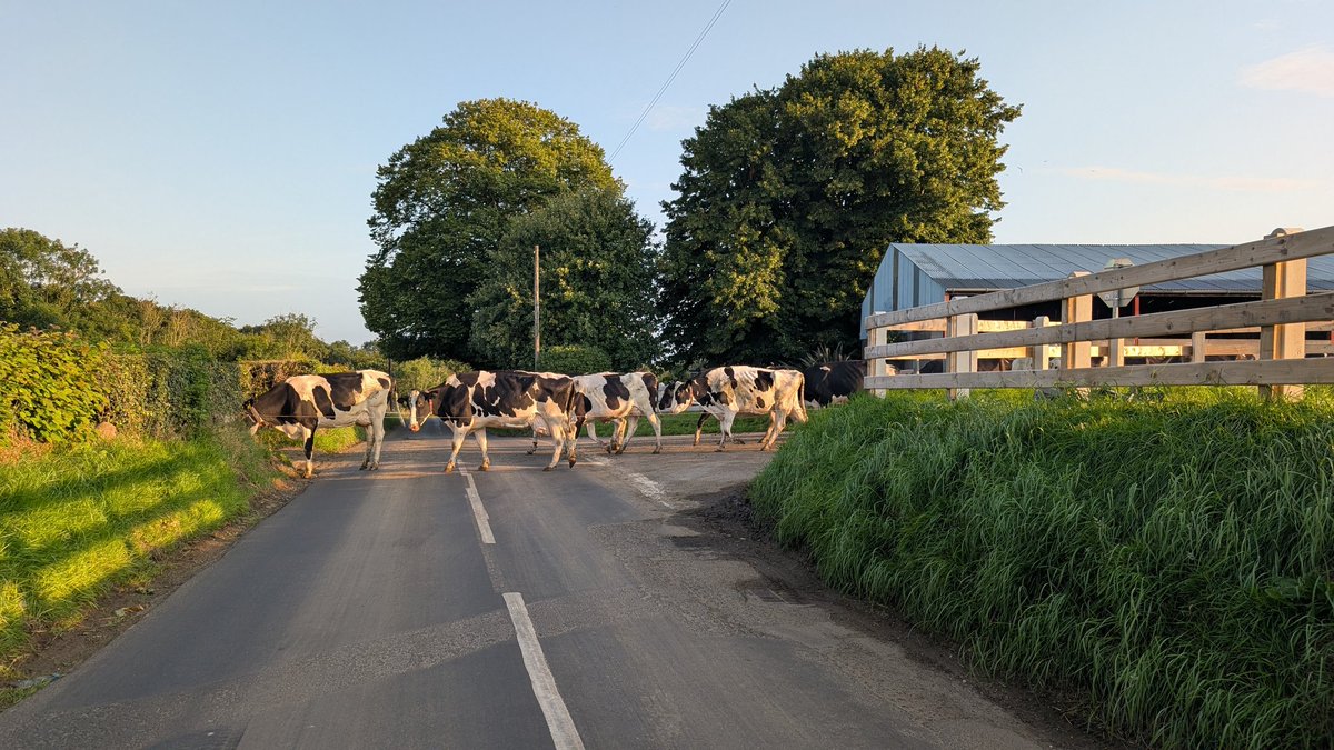Beautiful sunny start to Wednesday Ballykelly <a href="/bbcniweather/">BBC NI Weather</a> <a href="/weather_ali/">Ali Totten</a> <a href="/WeatherCee/">Cecilia Daly</a> <a href="/geoff_maskell/">Geoff Maskell</a> <a href="/UTVNews/">UTV Live News</a> <a href="/barrabest/">Barra Best</a>   <a href="/WeatherAisling/">Aisling Creevey</a> <a href="/StormHour/">#StormHour</a> <a href="/ThePhotoHour/">#ThePhotoHour</a> <a href="/Louise_utv/">Louise Small</a> <a href="/VisitCauseway/">Visit Causeway Coast & Glens</a> <a href="/itvweather/">ITV Weather</a> <a href="/bbcweather/">BBC Weather</a> <a href="/BBCWthrWatchers/">BBC Weather Watchers</a> <a href="/linzilima/">Linzi Lima</a> <a href="/R_Faragher/">Rick Faragher</a>