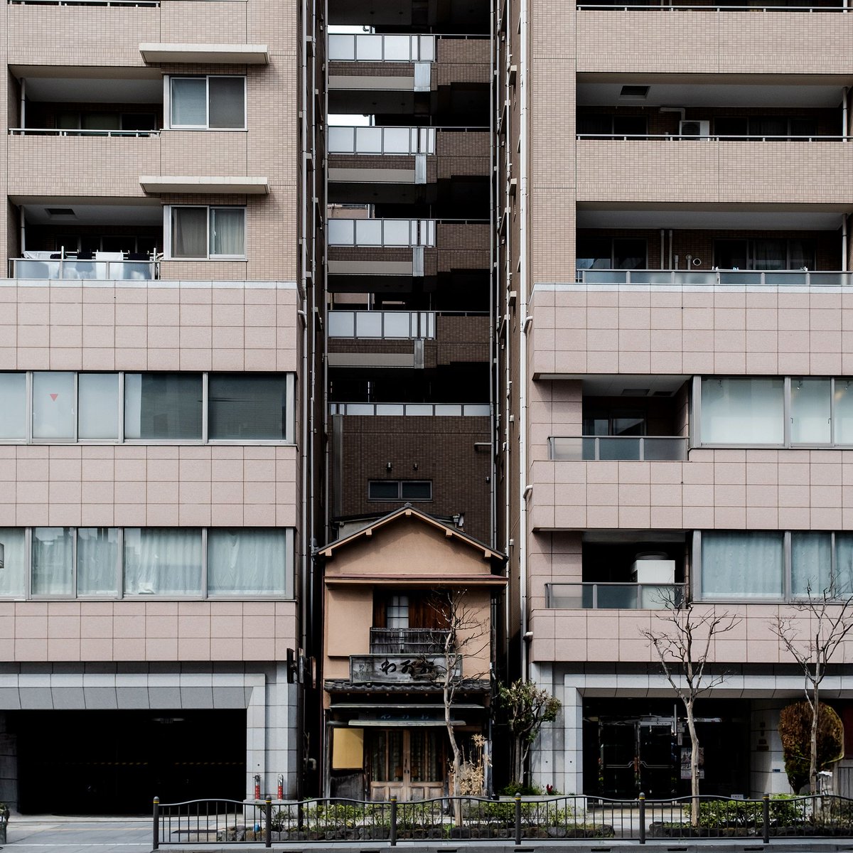 Lewis Bush tweet media