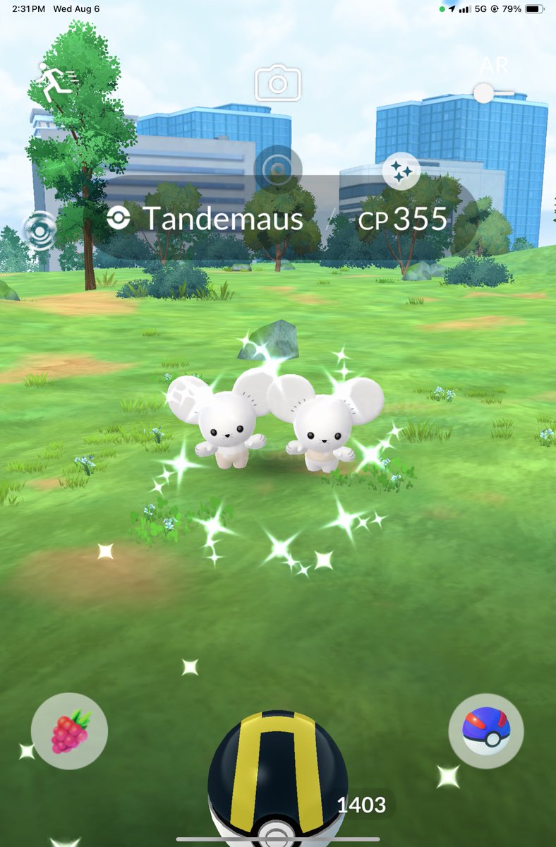 My first Tandemaus of the dayyyy✨💛