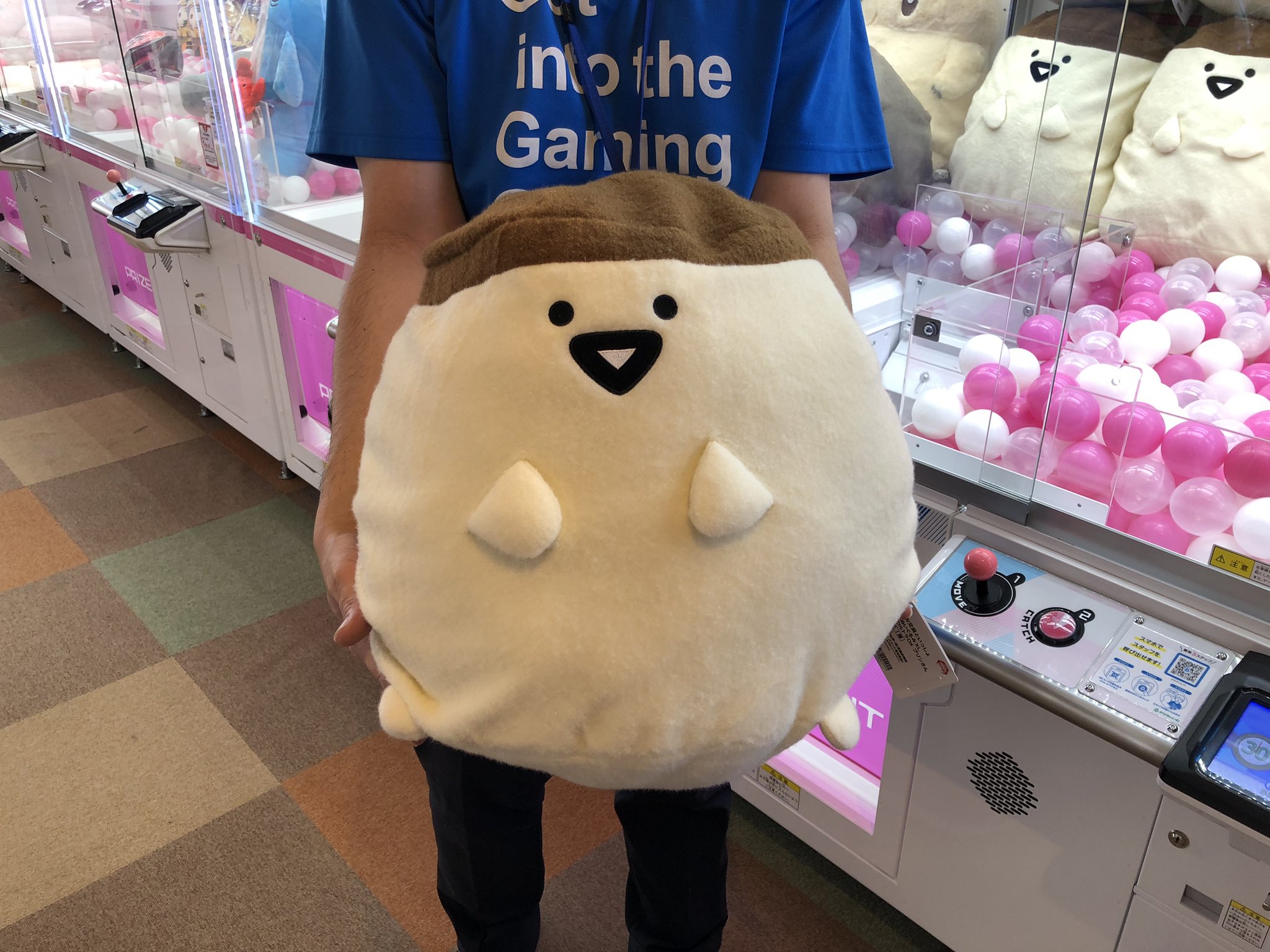 GiGO 北見 on X: 