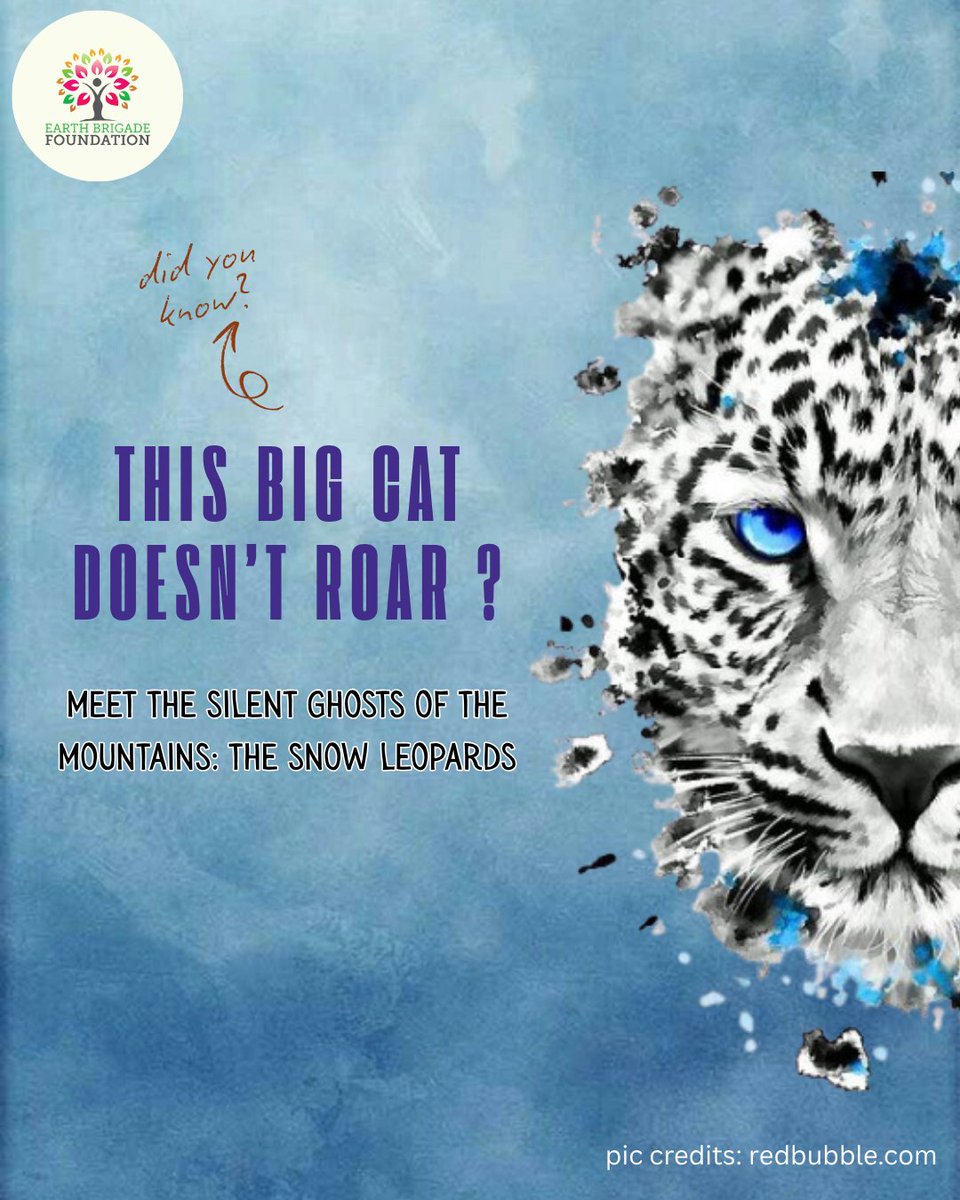 EarthBrigadeIN's tweet photo. Not all big cats roar.
The snow leopard doesn’t need to, its silence speaks of survival in the harshest heights.

#snowleopard #wildlifeconservation #leopardconservation #wildlifeofindia #bigcatsofindia #silentextinction #indianwildlife #himalayanwildlife https://t.co/Mz3xaauKKB