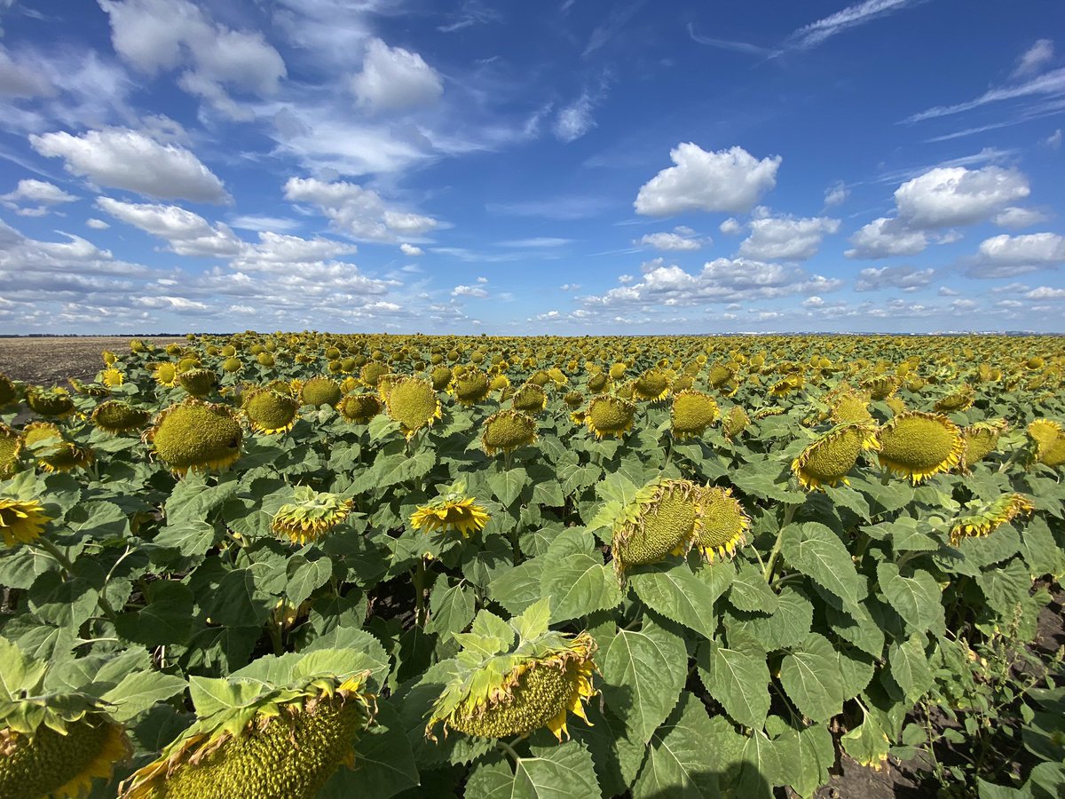 Mike Lee tweet media