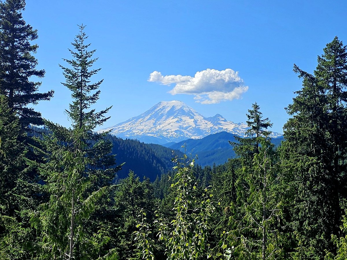 Maria Andrews tweet media