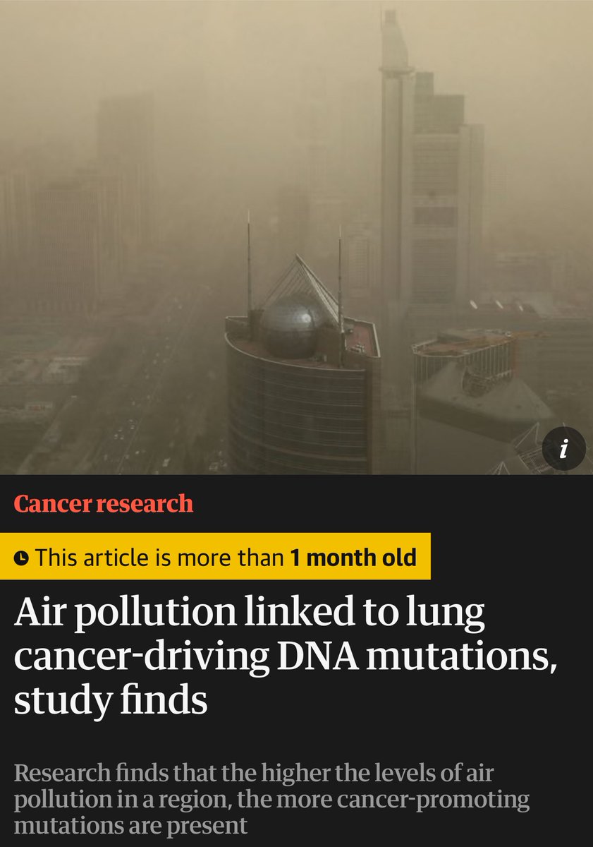 Air pollution damages DNA in the same way tobacco does.
A global study of people with lung cancer found a strong link between air pollution and cancer-promoting mutations, particularly ones caused by smoking.
None of the study participants had ever smoked.