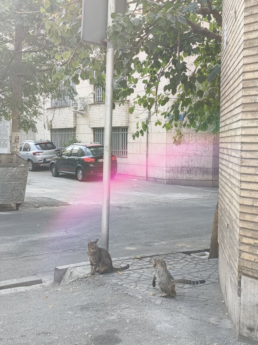 میشه بگید چه اتفاقی افتاده که اون نور صورتی اونجوری افتاده رو تصویر؟ من این نور صورتی رو تو همه‌ی عکسام می‌خوام.