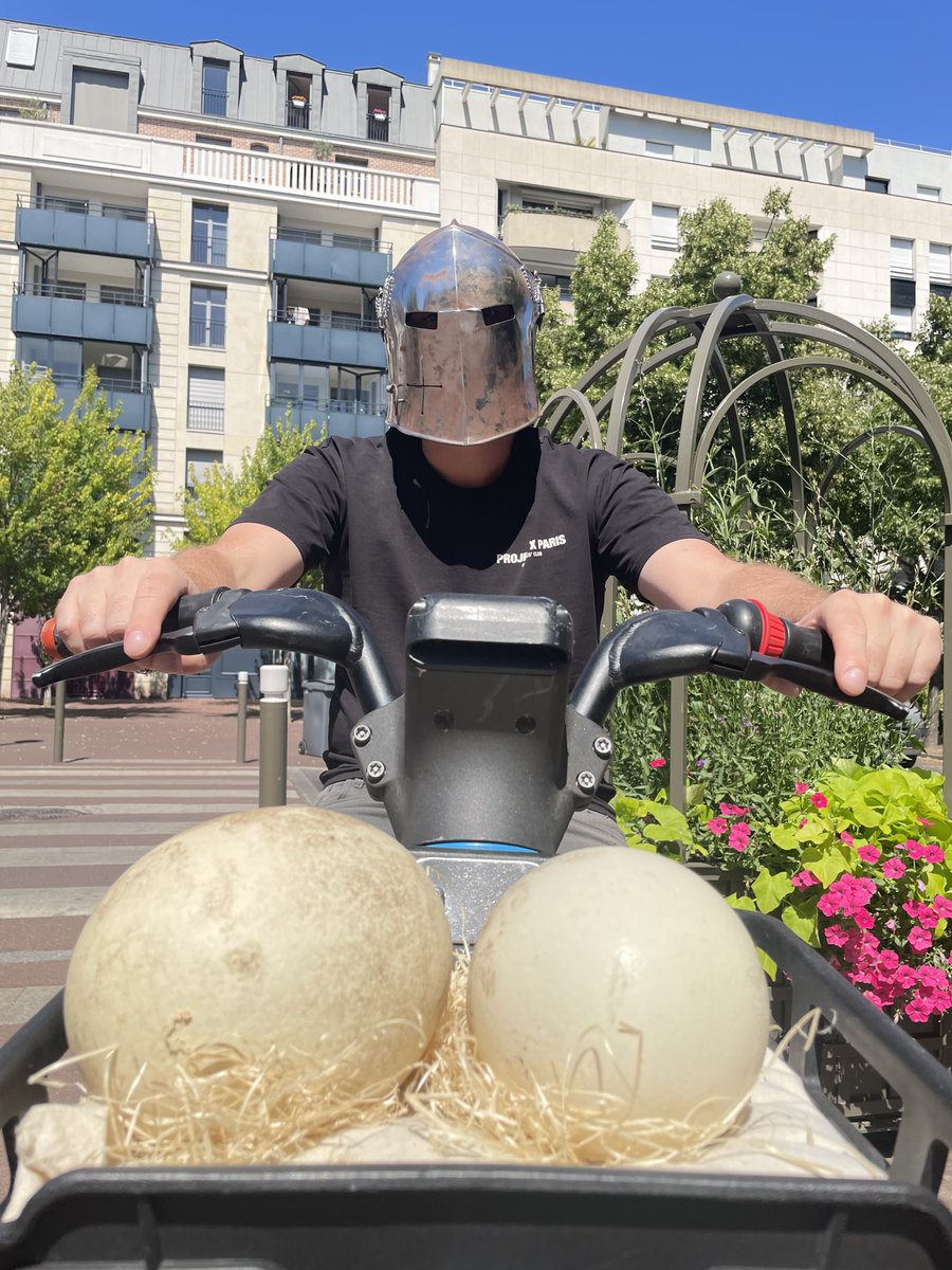 Knights on Base ๐๐ฆค (@knightsonbase) on Twitter photo GM knights. This month, we went on a mission like no other:
Delivering ostrich eggs in various city of France down 39ยฐC..
What would you do if you crossed him in Paris?
Thanks to <a href="/TchikiBalianos/">Tchiki.SโL || ๐ฟ๐๐๐๐ ๐ท๐๐๐ ๐ถ๏ธ</a> from <a href="/Thugz_NFT/">Thugz Life</a> for the photo. GM knights. This month, we went on a mission like no other:
Delivering ostrich eggs in various city of France down 39ยฐC..
What would you do if you crossed him in Paris?
Thanks to <a href="/TchikiBalianos/">Tchiki.SโL || ๐ฟ๐๐๐๐ ๐ท๐๐๐ ๐ถ๏ธ</a> from <a href="/Thugz_NFT/">Thugz Life</a> for the photo.