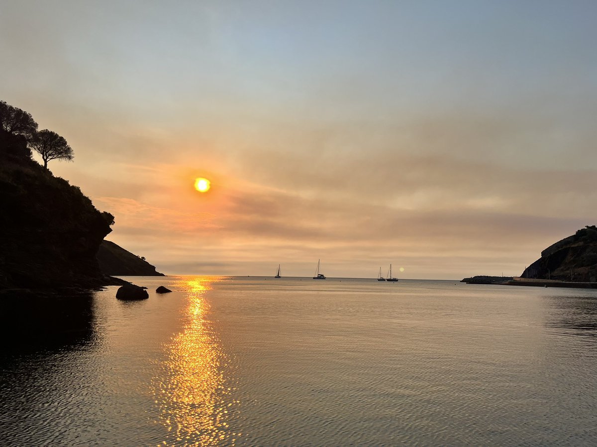 Des de Portbou es veu el núvol de fum de l’incendi entre Carcassona i Narbona. I també se’n sent l’olor. <a href="/meteocat/">Meteocat</a> <a href="/eltempsTV3/">El temps</a> <a href="/324cat/">324.cat</a>