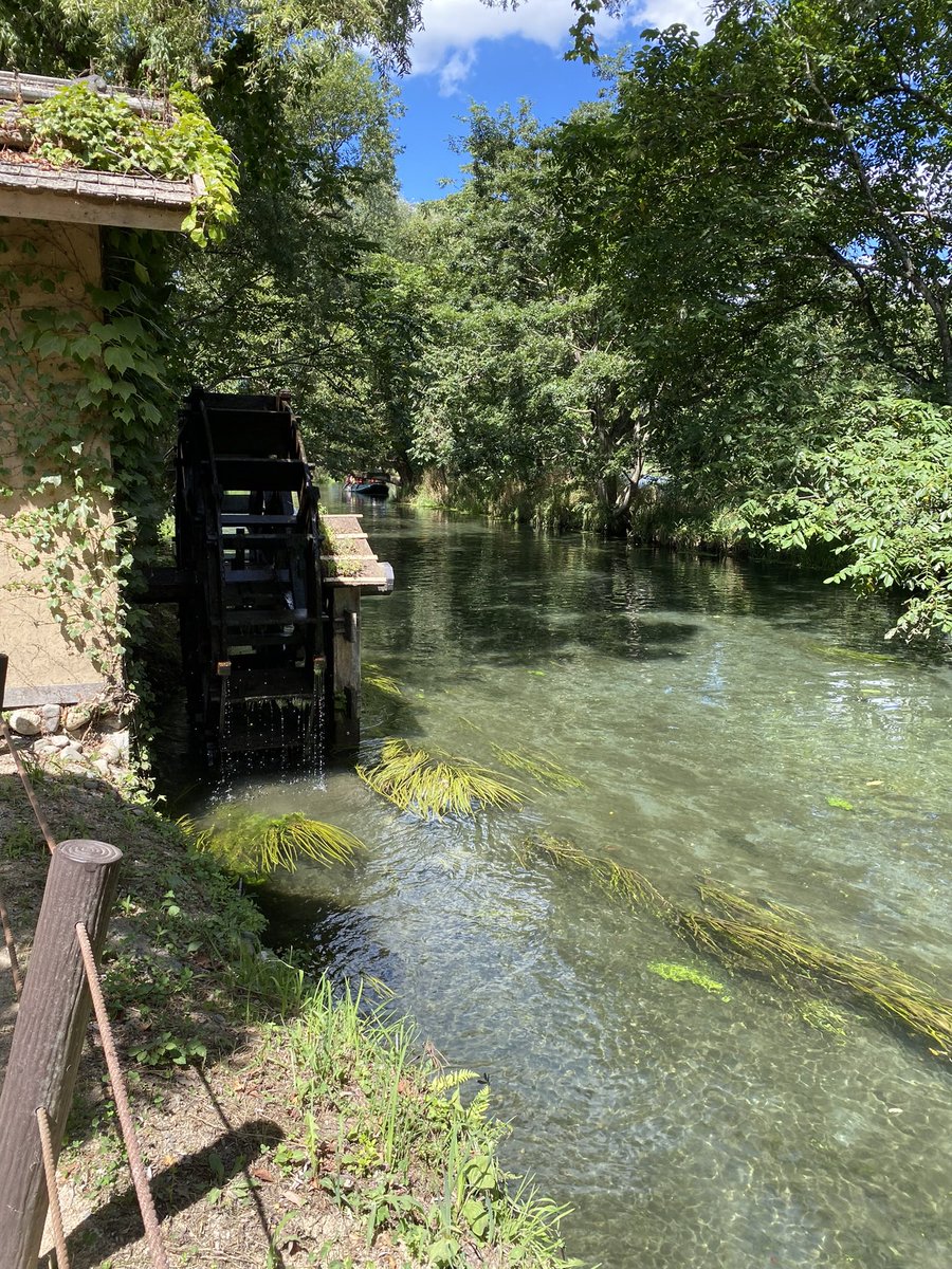 これぞ自然界隈です
#自然界隈