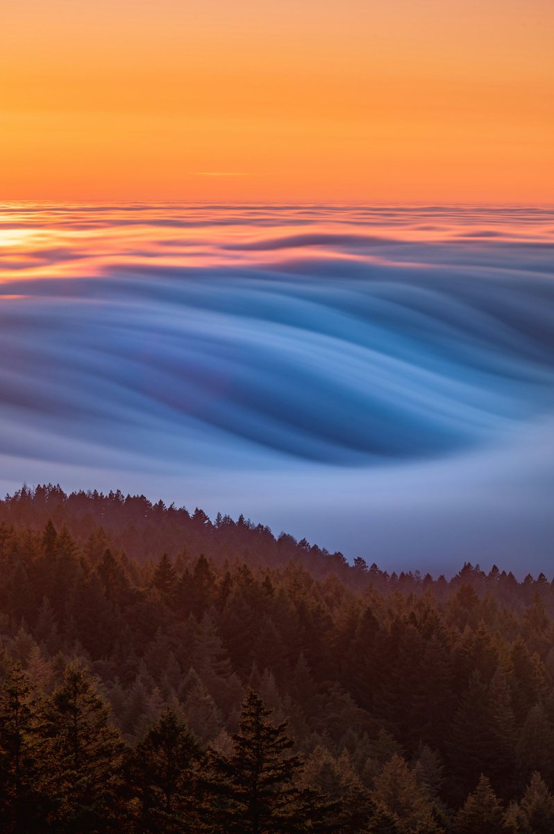 California, USA ✨