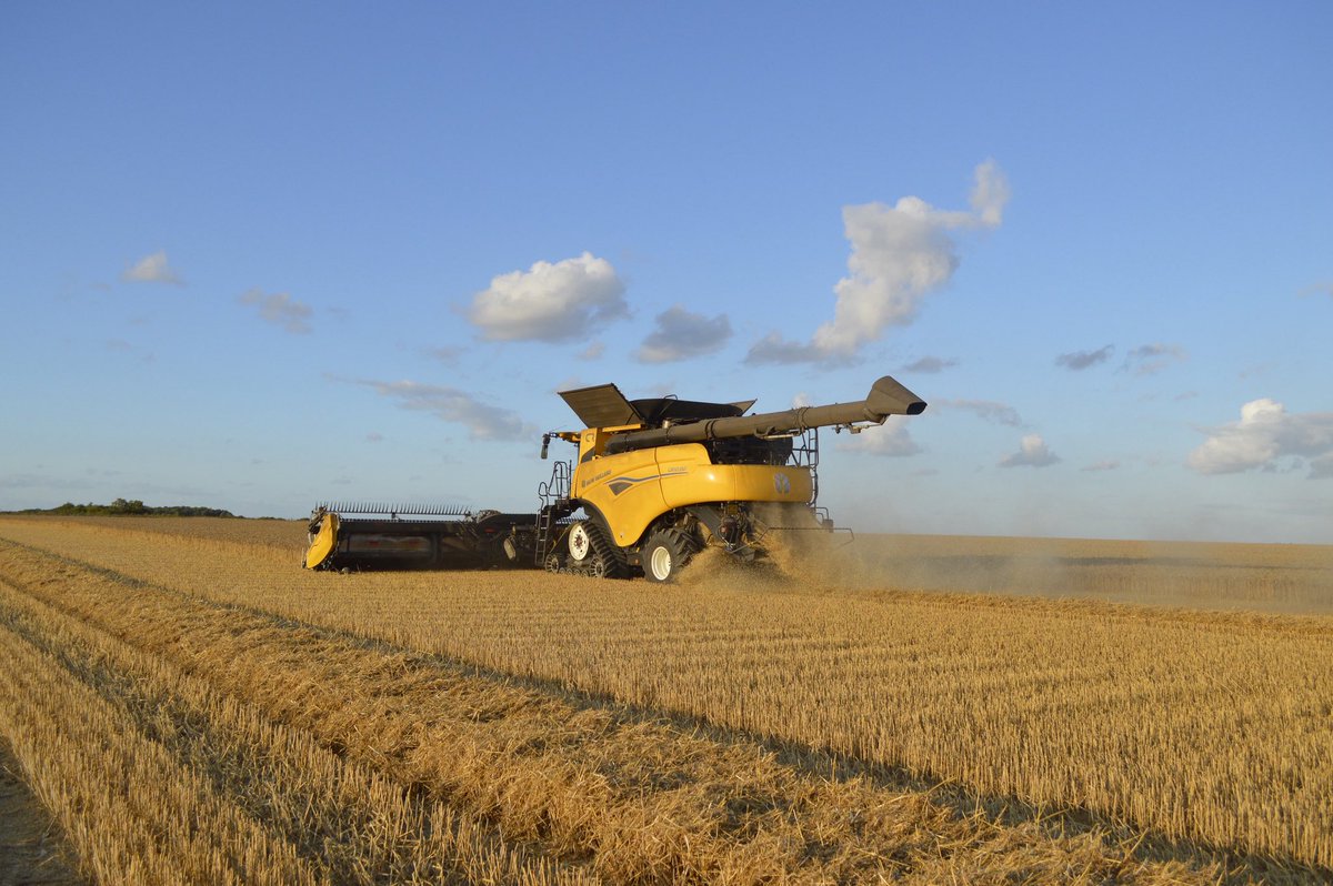 Dan Iles tweet media