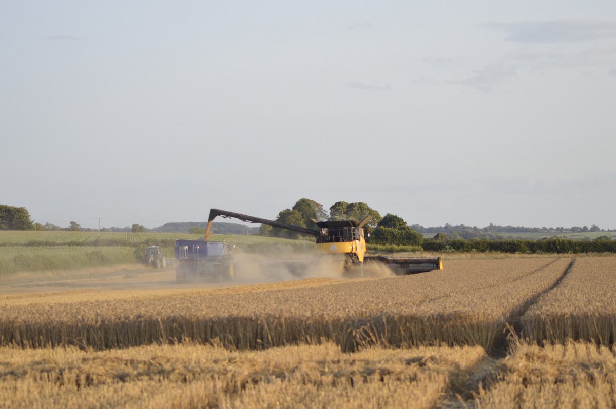 Dan Iles tweet media