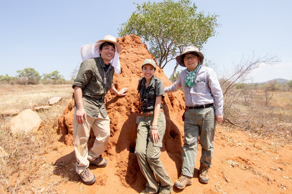 クレイジージャーニー「世界的快挙★世界最大の女王アリ＆神の化身捕獲に大成功！」をご覧頂きました皆様ありがとうございました！
ただのアリ好きのケニアでのアリ探しはいかがでしたでしょうか？